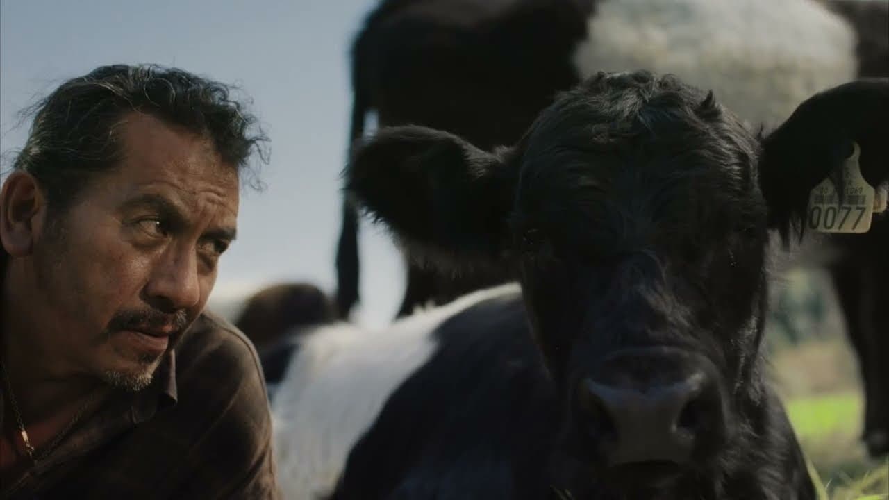 Still from The Oreo Cows — Oreo